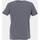 Vêtements Homme T-shirts manches courtes Benson&cherry Legendary t-shirt mc Bleu
