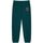 Vêtements Pantalons de survêtement Franklin & Marshall JM1004.2000P01.SS-235 Vert