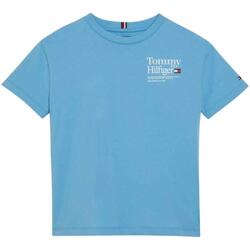Vêtements Garçon T-shirts & Polos Tommy Hilfiger  Bleu