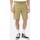 Vêtements Homme Shorts / Bermudas Dickies DK0A4XES Multicolore