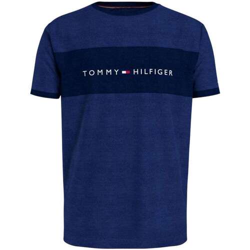 Vêtements Homme Débardeurs / T-shirts sans manche Tommy Hilfiger 140033VTPE23 Bleu