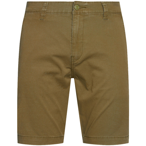 Vêtements Homme Shorts hilfiger / Bermudas Levi's Short coton regular fit Levi's® Kaki