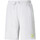 Vêtements Homme Shorts / Bermudas Puma 533659-01 Gris