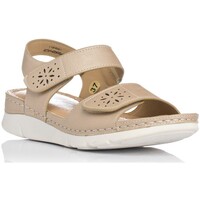 Chaussures Femme Nomadic State Of Zapp BASKETS  24 Beige
