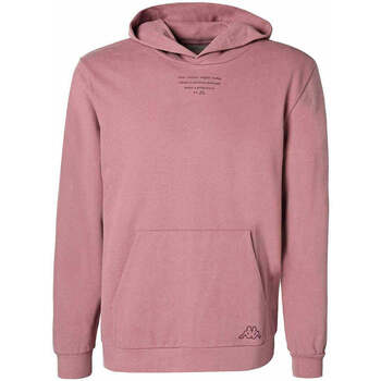 Vêtements Homme Sweats Kappa Hoodie  Faetano Sportswear logo-patch Rose