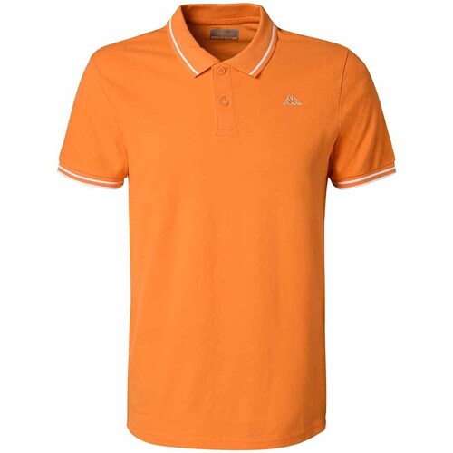 Vêtements Homme T-shirts & Polos Kappa Polo  Ezio Orange