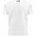 Vêtements Garçon T-shirts manches courtes Kappa T-Shirt Argla BWT Alpine F1 Team 2023  Blanc Blanc