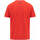 Vêtements Garçon T-shirts manches courtes Kappa T-Shirt Argla BWT Alpine F1 Team 2023  Orange Orange