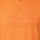 Vêtements Homme T-shirts manches courtes Kappa T-shirt  Cremy Sportswear Orange
