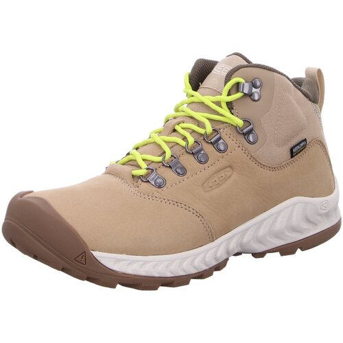 Chaussures Homme Tableaux / toiles Keen  Beige