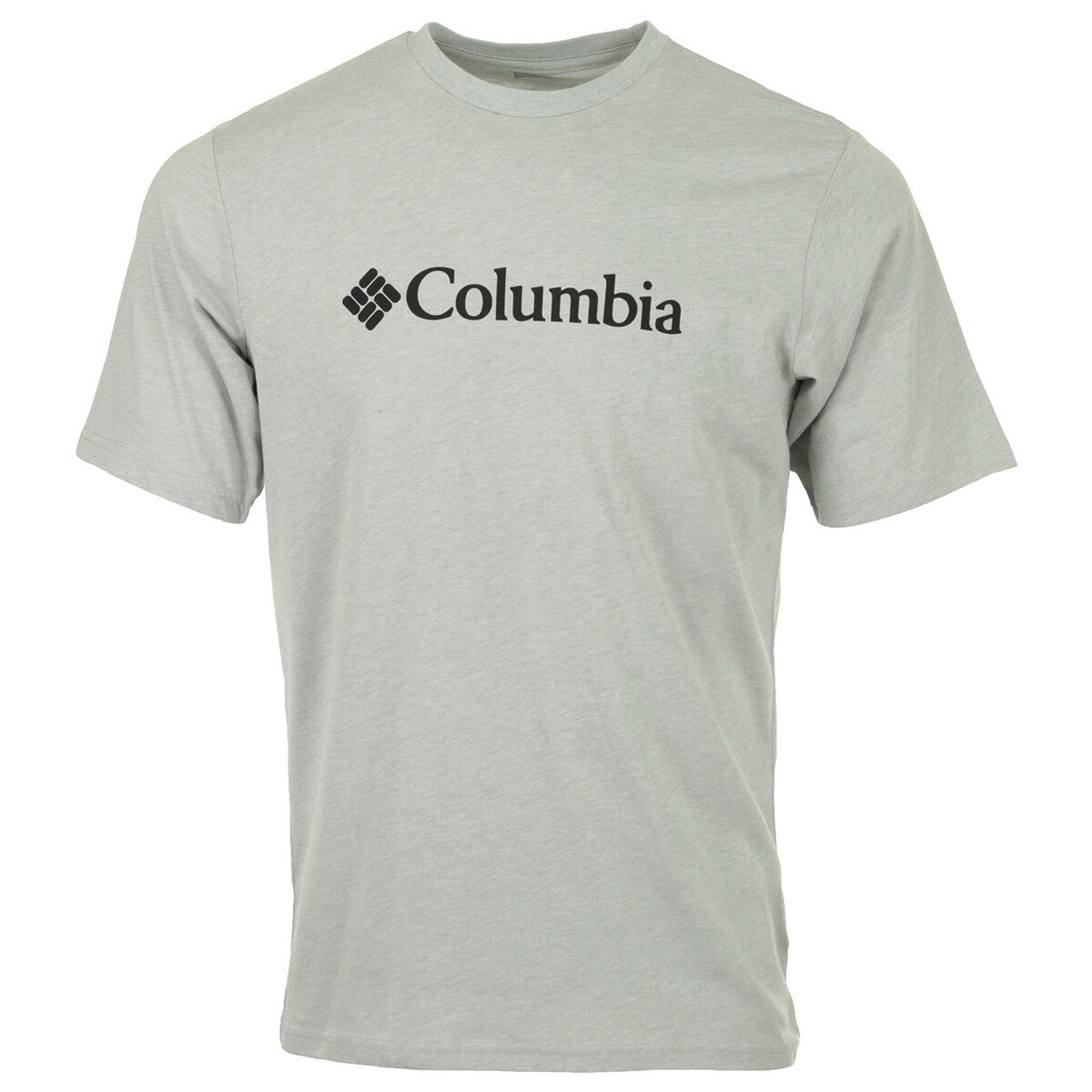 Vêtements Homme T-shirts manches courtes Columbia CSC Basic Logo Gris