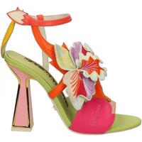 Chaussures Femme Sandales et Nu-pieds Kat Maconie ORELA Multicolore