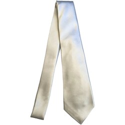 Vêtements Homme Cravates et accessoires Kiton UCRVKRC072010400P Blanc