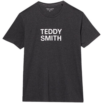 Vêtements Homme T-shirts manches courtes Teddy Smith 11014744D Gris