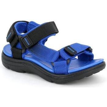 Chaussures Enfant Emporio Armani E Grunland DSG-SA1195 Bleu