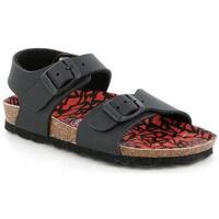 Chaussures Enfant Sandales et Nu-pieds Grunland DSG-SB2019 Noir