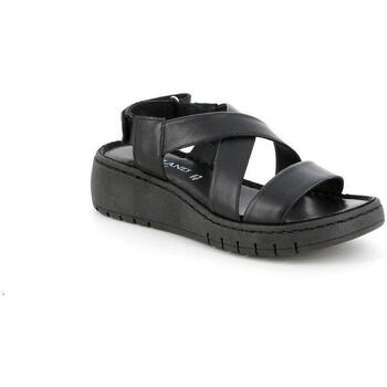 Chaussures Femme Sandales et Nu-pieds Grunland DSG-SA1198 Noir