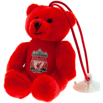 Accessoires Accessoires sport Liverpool Fc Hang In There Buddy Rouge