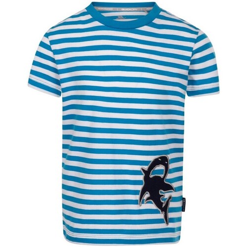 Vêtements Enfant T-shirts manches longues Trespass TP5967 Bleu