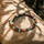 Montres & Bijoux Bracelets Sixtystones Bracelet Perles Heishi spe Rouge  -Medium-18cm Multicolore