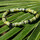 Montres & Bijoux Bracelets Sixtystones Bracelet Perles Heishi Jaspe Noir -Large-20cm Vert