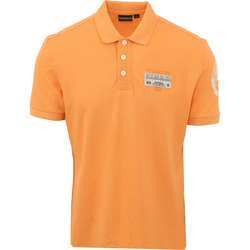 Vêtements Homme T-shirts & Polos Napapijri Polo Amundsen Orange Orange