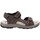 Chaussures Homme Sandales et Nu-pieds Valleverde VV-54802 Marron