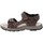 Chaussures Homme Sandales et Nu-pieds Valleverde VV-54802 Marron