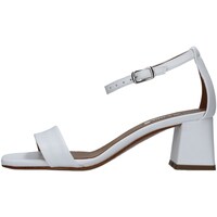 Chaussures Femme Sandales et Nu-pieds L'amour 213L Blanc