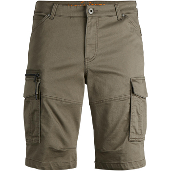 Vêtements Homme Shorts / Bermudas Jack & Jones Short cargo DEX Vert