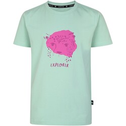Vêtements Lilas T-shirts manches courtes Dare 2b  Multicolore