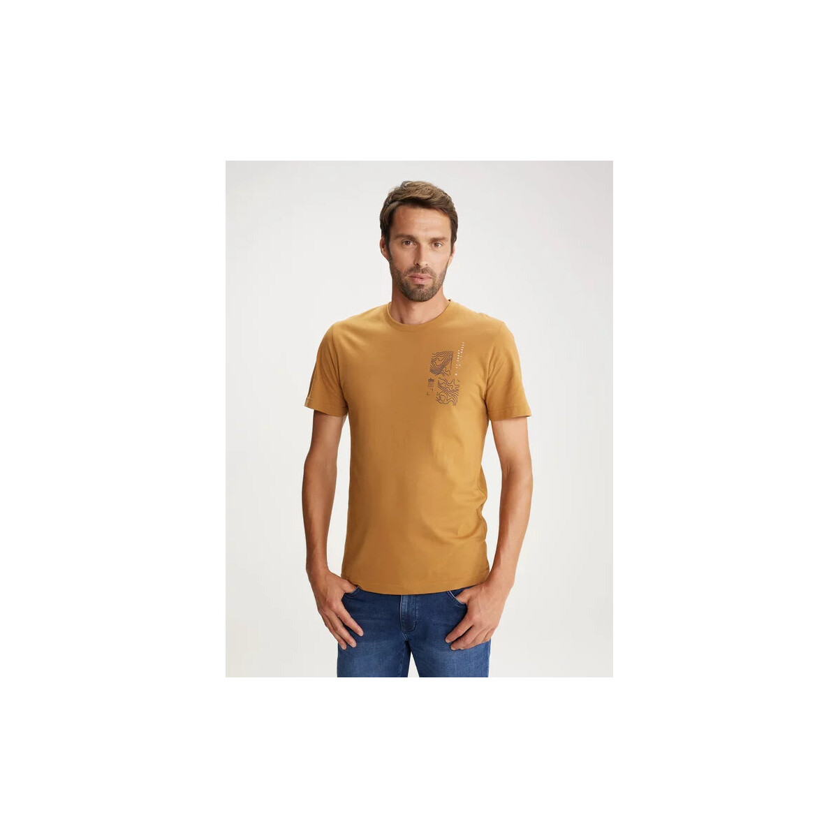 Vêtements Homme T-shirts manches courtes TBS JOVANTEE Marron