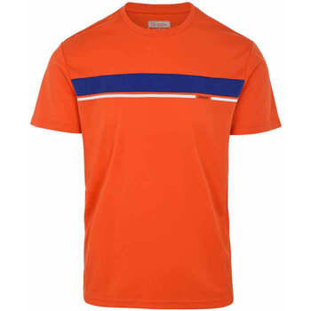 Vêtements Homme T-shirts manches courtes Kappa T-shirt  Avellino Sportswear Orange