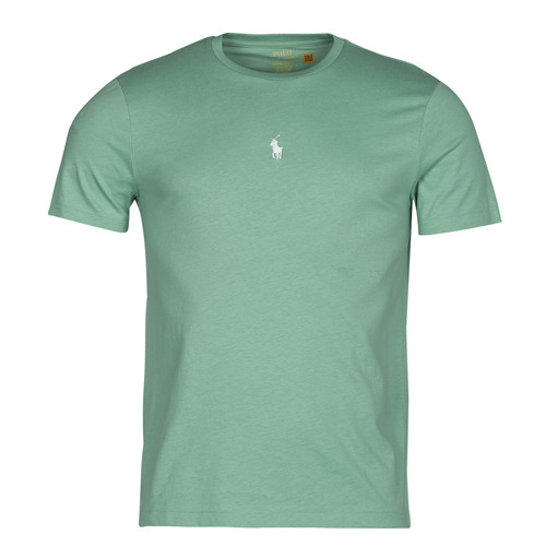 Vêtements Homme T-shirts manches courtes Polo Ralph Lauren T-SHIRT AJUSTE EN COTON LOGO CENTRAL Kaki