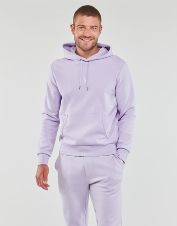 Vêtements Homme Sweats Polo Ralph Lauren SWEATSHIRT CAPUCHE LOGO CENTRAL EN DOUBLE KNIT TECH Mauve / Flower Purple