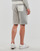 Vêtements Homme Shorts / Bermudas Polo Ralph Lauren SHORT EN MOLLETON COLOBLOCK Gris chiné
