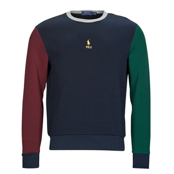 Vêtements Homme Sweats Polo Ralph Lauren SWEAT COL ROND EN DOUBLE KNIT TECH Multicolore