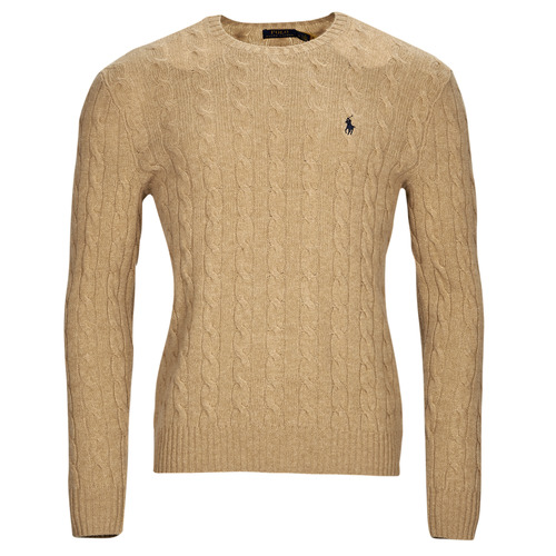 Vêtements Homme Pulls Polo Ralph Laure PULL COL ROND EN MAILLE TORSADEE Camel