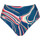 Vêtements Femme Maillots de bain séparables Lisca Bas maillot slip de bain échancré taille haute Queensland Bleu