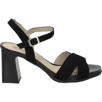 Chaussures Femme Sandales et Nu-pieds Pitillos 5184 Noir