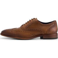 Chaussures Homme Derbies & Richelieu Denbroeck State St. Chaussure à lacets Marron