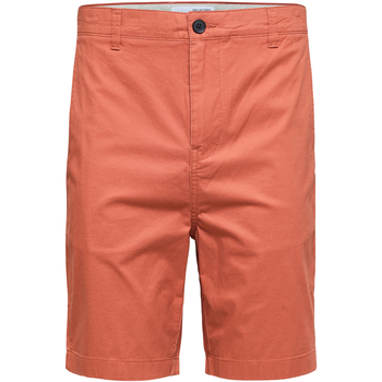 Vêtements Homme Elastic Shorts / Bermudas Selected Bermuda coton biologique droit Brique