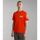 Vêtements Homme T-shirts & Polos Napapijri S-AMUNDSEN NP0A4H6B-R05 CHERRY RED Rouge