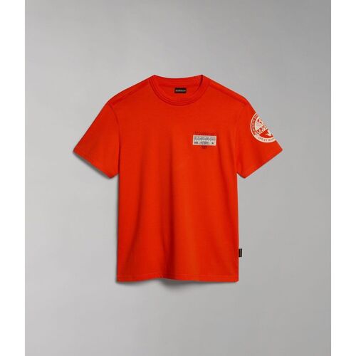 Vêtements Homme T-shirts & Polos Napapijri S-AMUNDSEN NP0A4H6B-R05 CHERRY RED Rouge