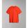 Vêtements Homme T-shirts & Polos Napapijri S-RHEMES NP0A4G36-R05 RED CHERRY Rouge