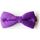 Vêtements Homme Cravates et accessoires Kebello Noeud Papillon en satin  H Violet