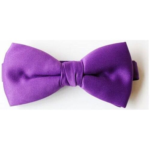 Vêtements Homme Costumes et cravates Kebello Noeud Papillon en satin  H Violet