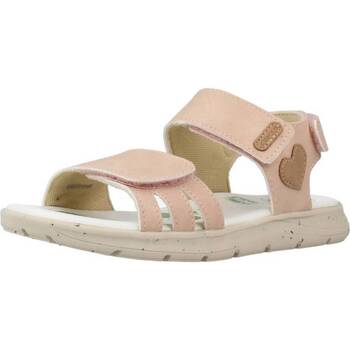 Chaussures Fille Sandales et Nu-pieds Chicco CORDELIA Rose