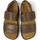 Chaussures Homme Sandales et Nu-pieds Camper Sandales cuir BRUTUS Marron
