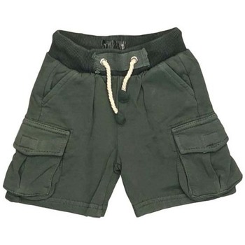 Vêtements Garçon Shorts / Bermudas Hero  Vert